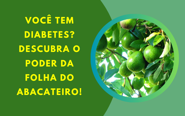 Você Tem Diabetes? Descubra o Poder da Folha do Abacateiro
