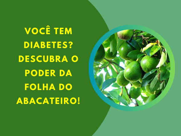 Você Tem Diabetes? Descubra o Poder da Folha do Abacateiro